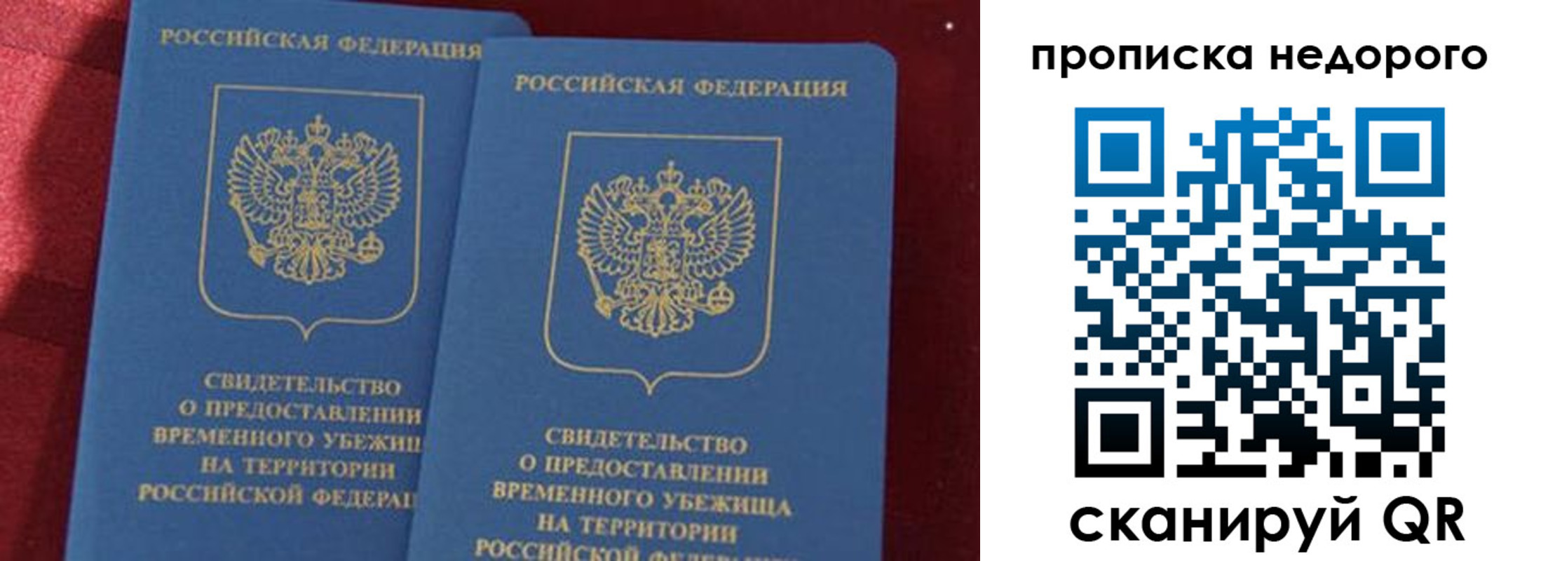 прописка гарантия в Гусеве